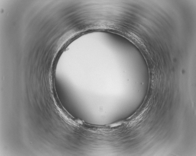 X0000057070942200510071429