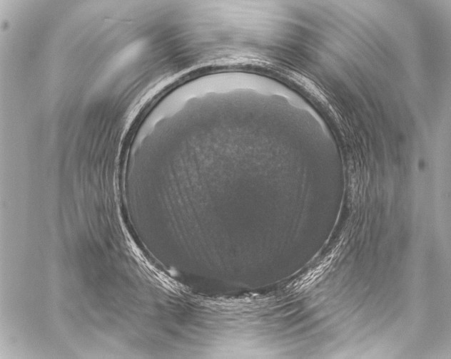 X0000057070943200510071429