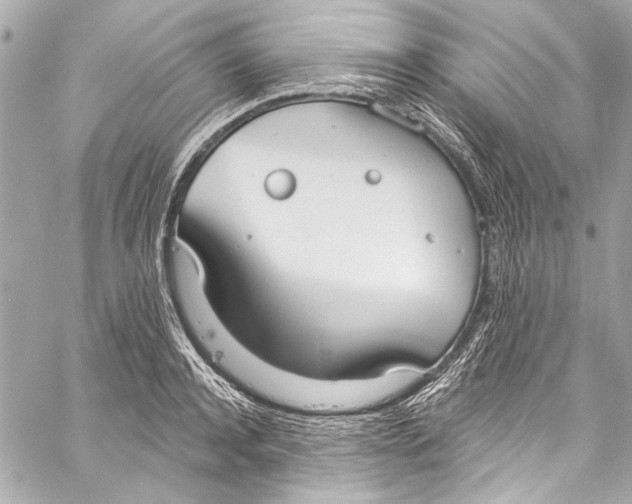 X0000057070944200510071429