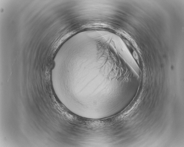 X0000057070945200510071429