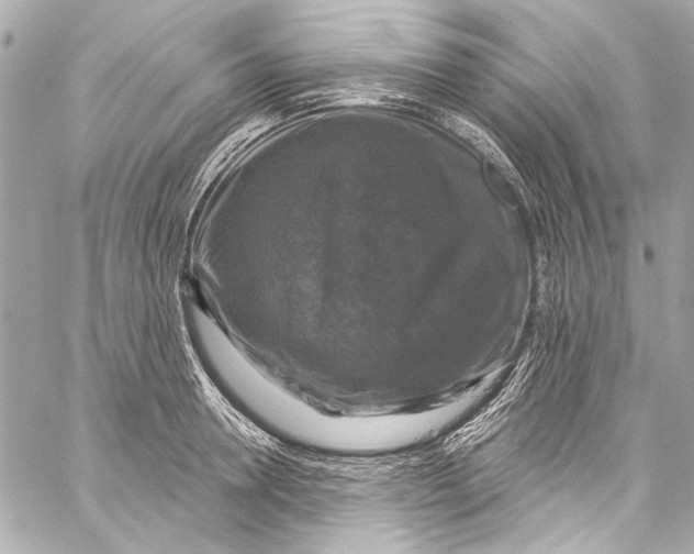 X0000057070946200510071429