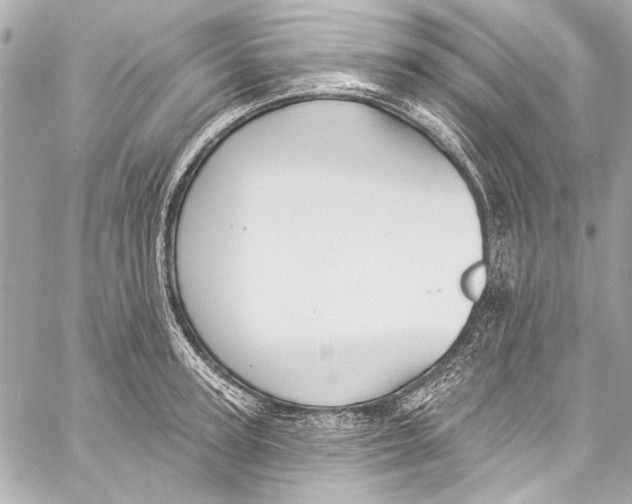 X0000057070947200510071429