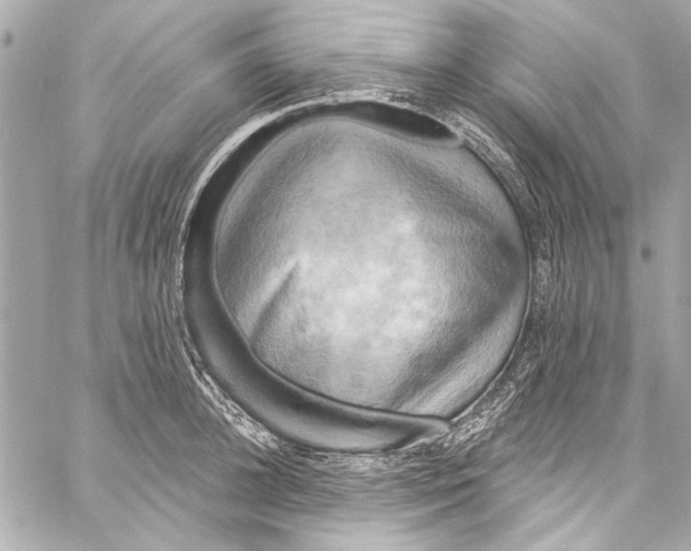 X0000057070948200510071429