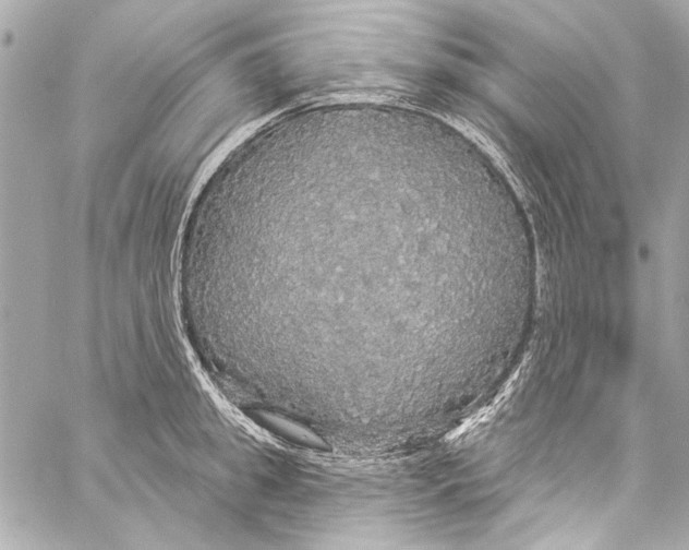 X0000057070949200510071429