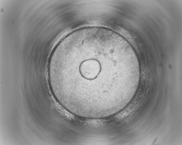 X0000057070950200510071429