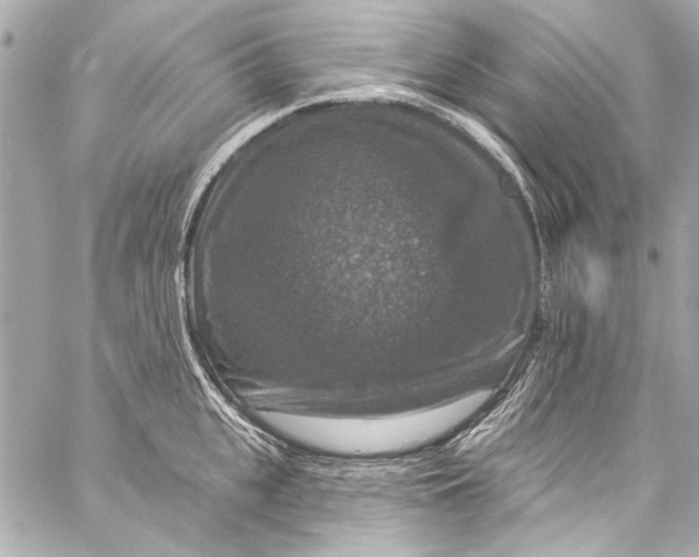 X0000057070951200510071429