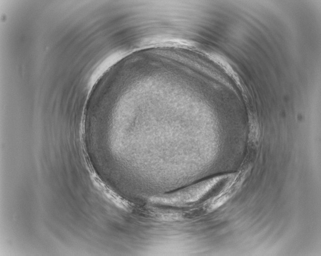 X0000057070952200510071429