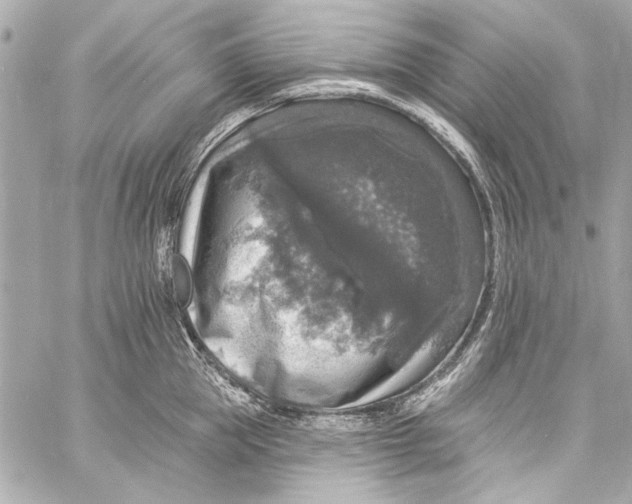 X0000057070953200510071429