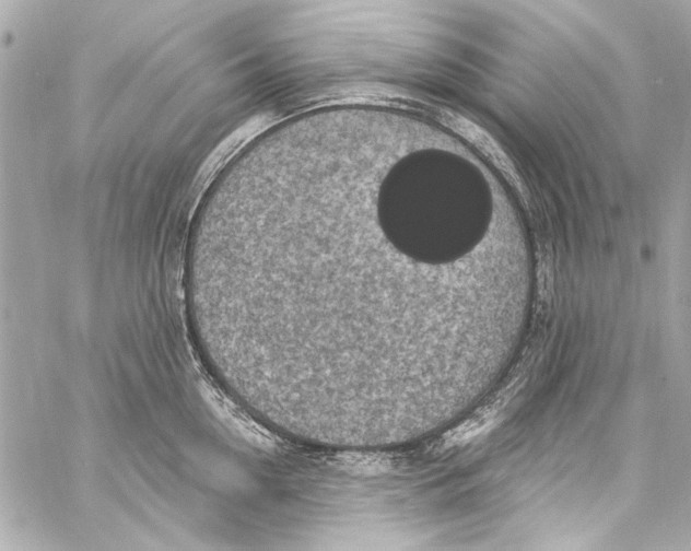 X0000057070954200510071429