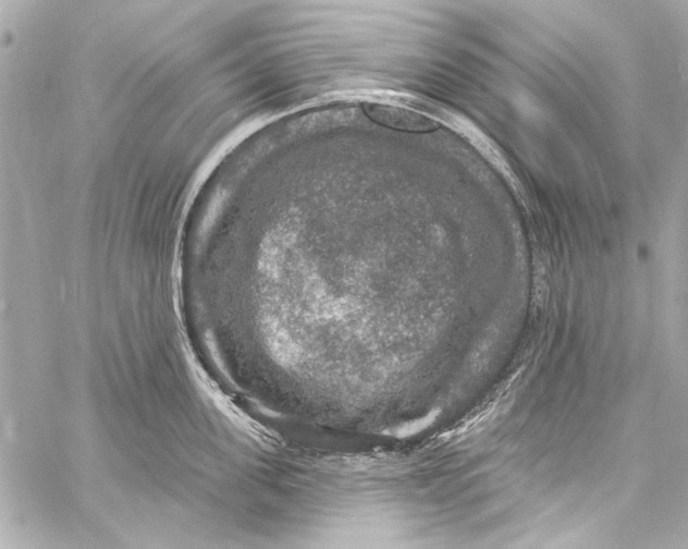 X0000057070955200510071429