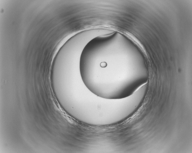 X0000057070956200510071429