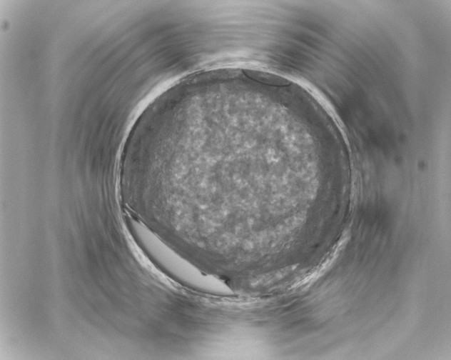 X0000057070957200510071429