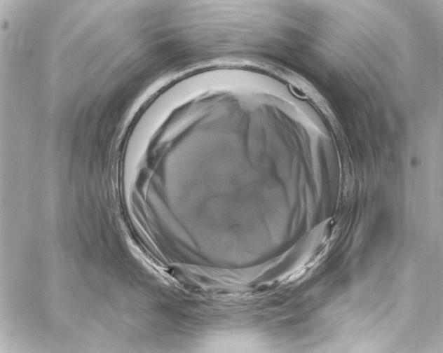 X0000057070958200510071429