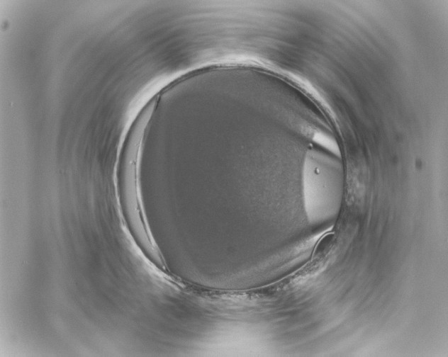 X0000057070959200510071429