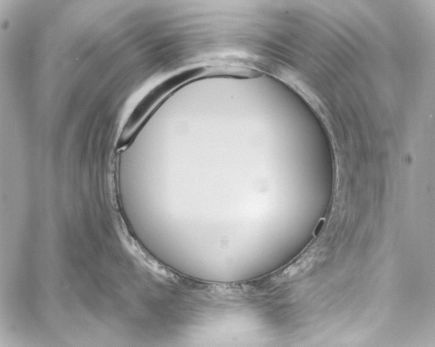 X0000057070960200510071429