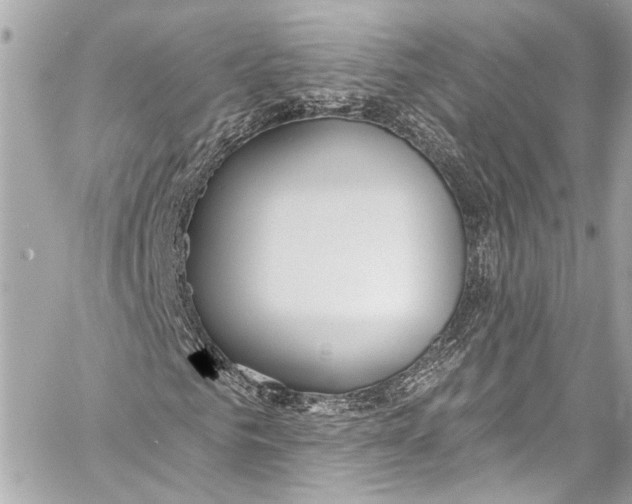 X0000057070961200510071428