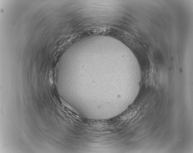 X0000057070962200510071428