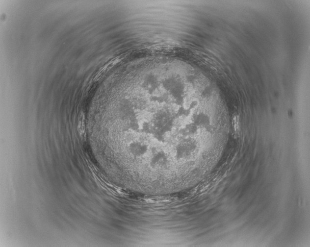 X0000057070963200510071428