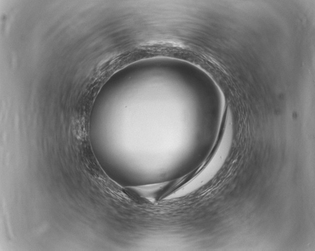 X0000057070965200510071428