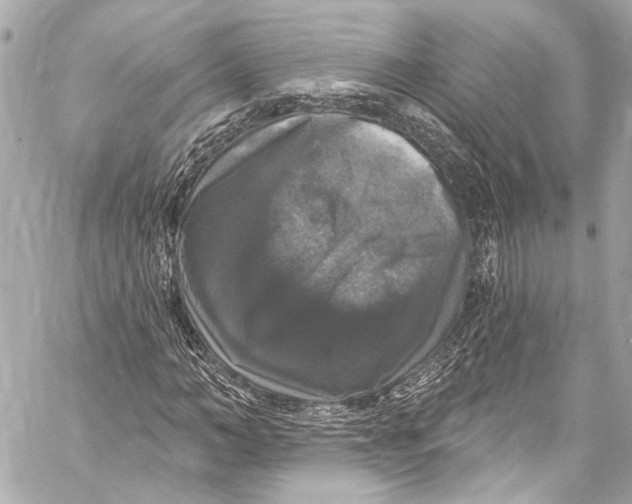 X0000057070966200510071428