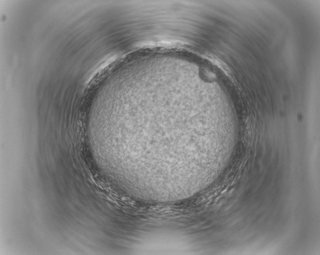 X0000057070967200510071428