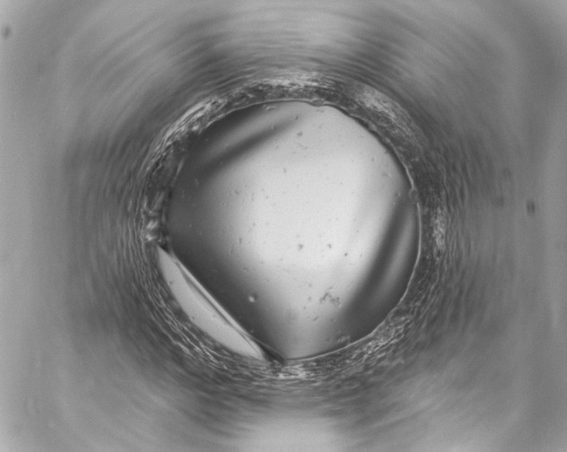 X0000057070968200510071428