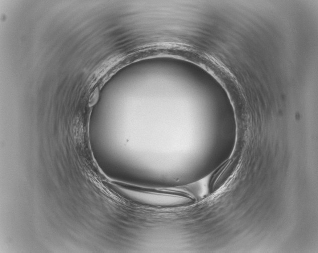 X0000057070969200510071428