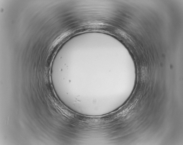 X0000057070970200510071428