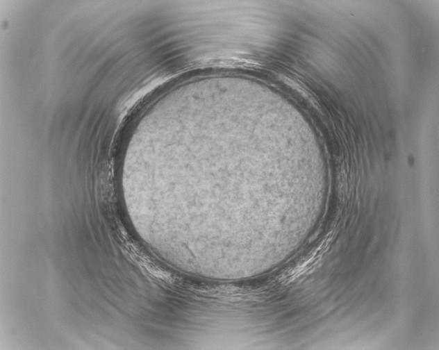 X0000057070971200510071428