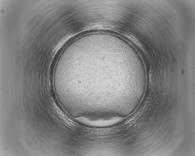 X0000057070972200510071428