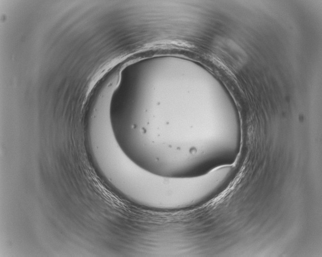 X0000057070973200510071428