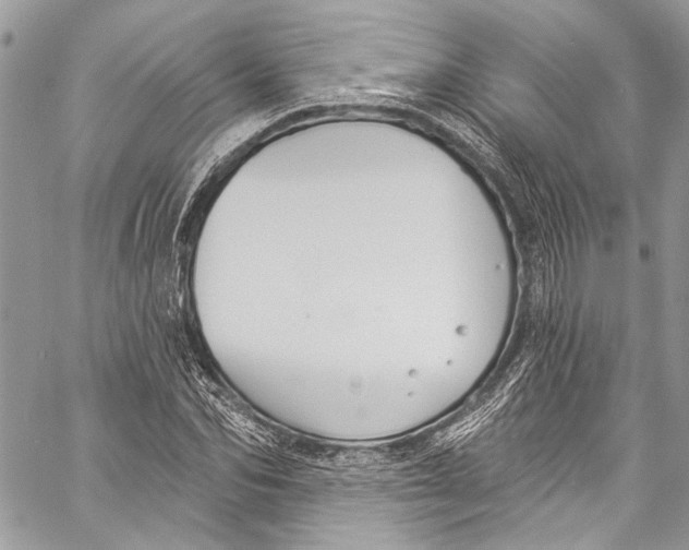 X0000057070974200510071428