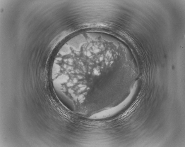 X0000057070975200510071428