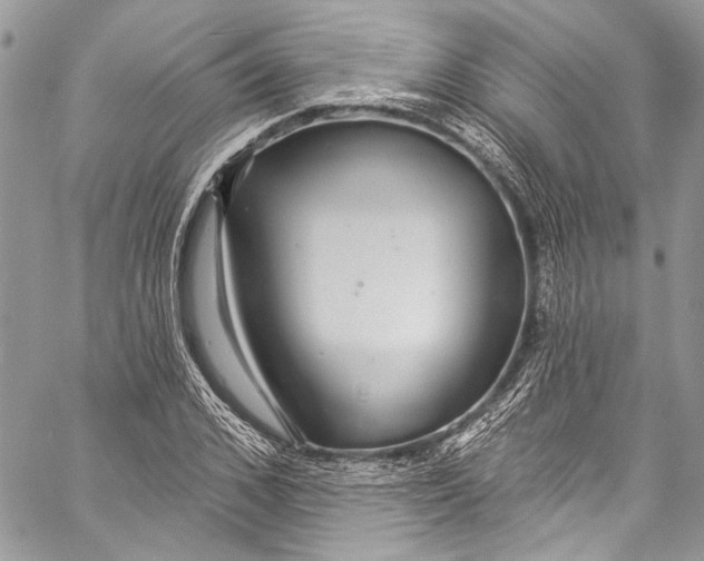 X0000057070976200510071428