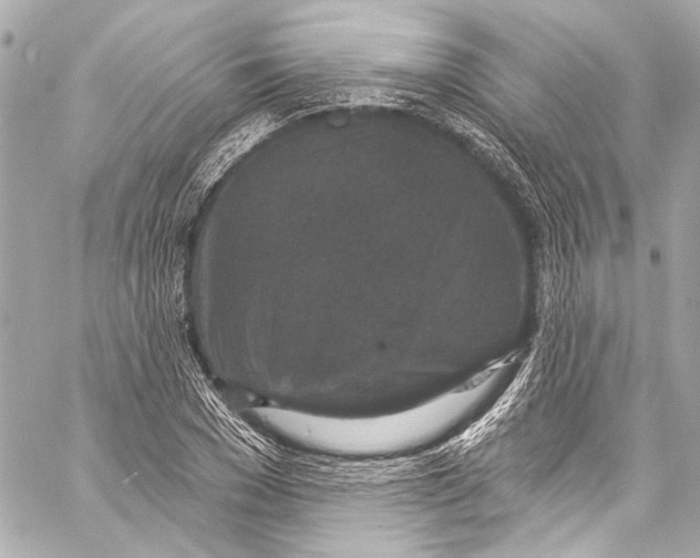 X0000057070977200510071428