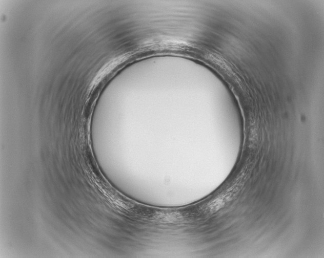 X0000057070978200510071428