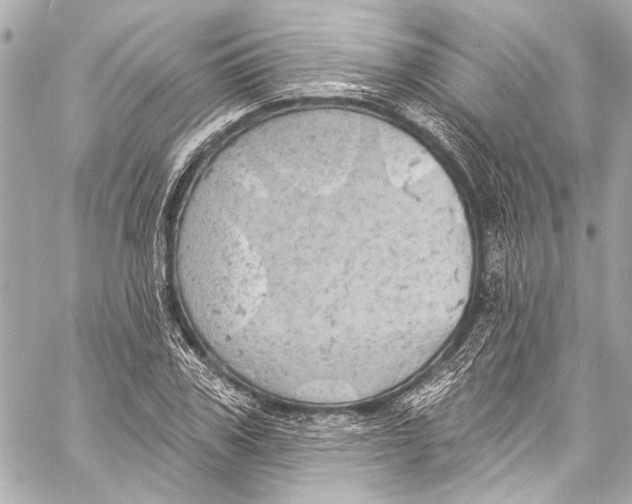 X0000057070979200510071428