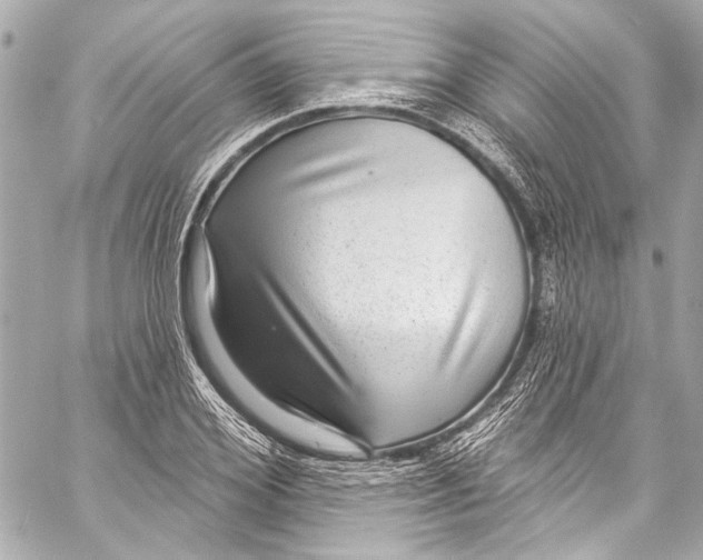 X0000057070980200510071428