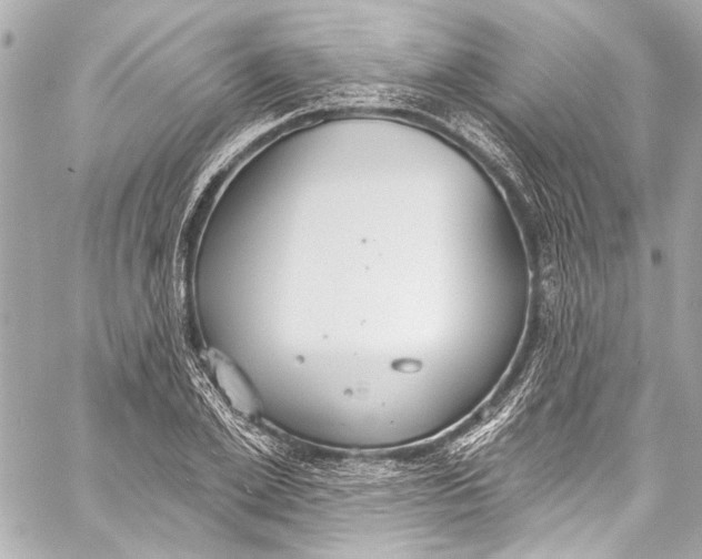 X0000057070981200510071428