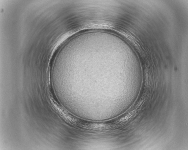 X0000057070982200510071428