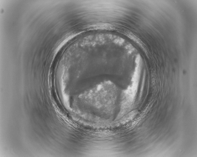 X0000057070983200510071428