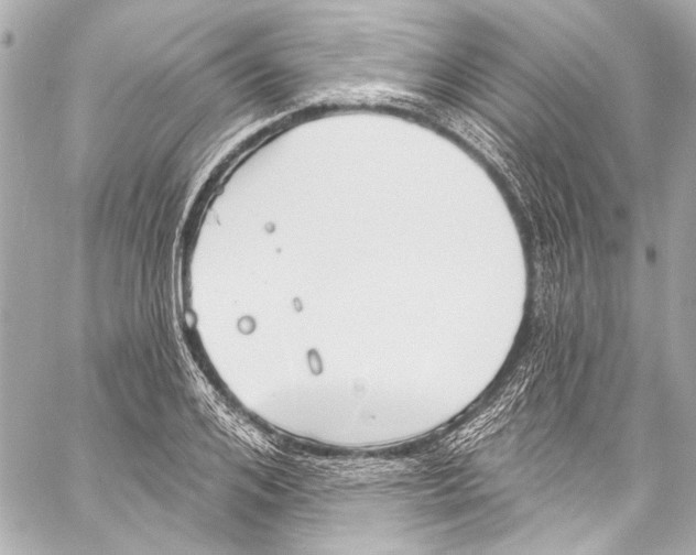 X0000057070984200510071428