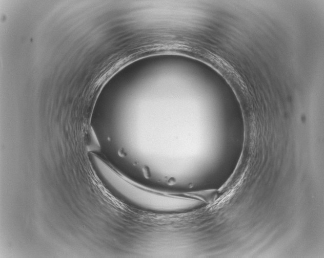 X0000057070985200510071428