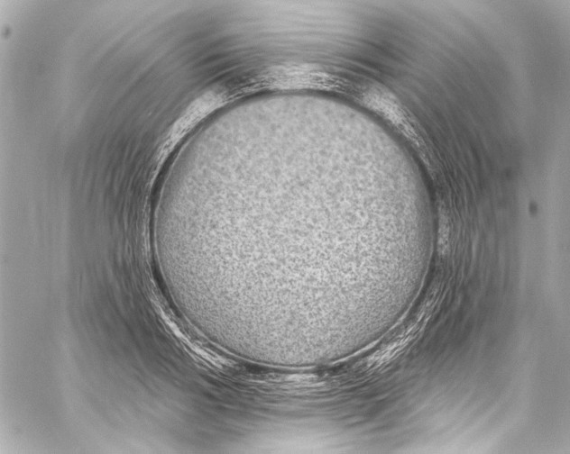 X0000057070986200510071428