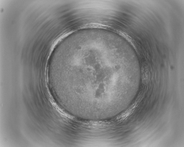 X0000057070987200510071428