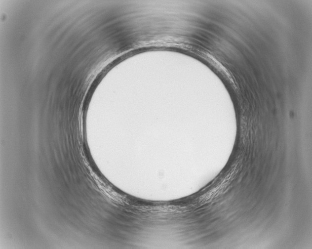 X0000057070988200510071428