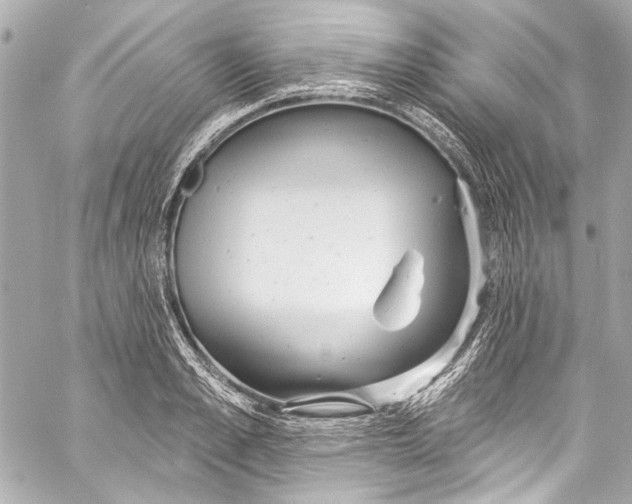 X0000057070989200510071428