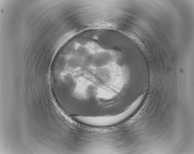 X0000057070990200510071428