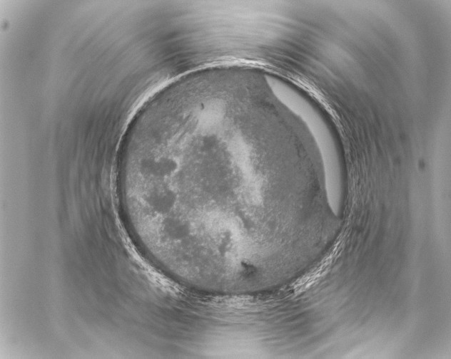 X0000057070991200510071428