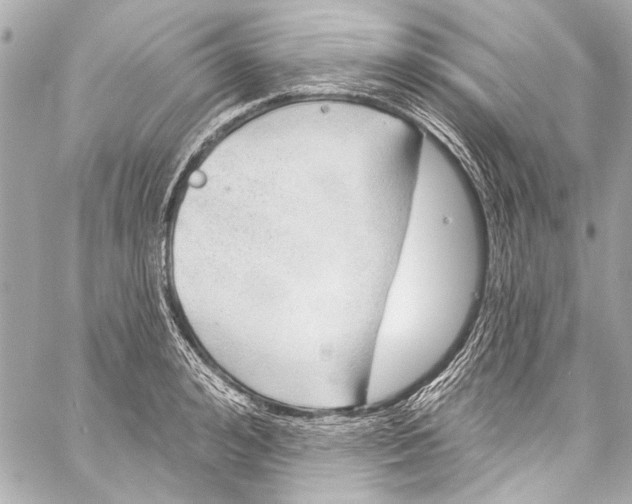 X0000057070992200510071428